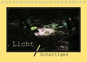 Licht und Schattiges (Tischkalender 2019 DIN A5 quer) von Keller,  Angelika