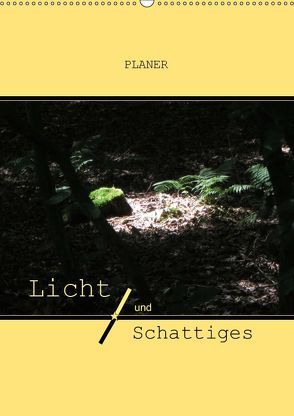 Licht und Schattiges (Wandkalender 2019 DIN A2 hoch) von Keller,  Angelika