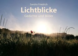 Lichtblicke von Friedrich,  Sandra