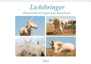 Lichtbringer – Österreichisch-Ungarische Barockesel (Wandkalender 2022 DIN A3 quer) von Bölts,  Meike