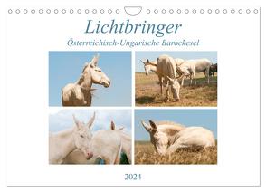 Lichtbringer – Österreichisch-Ungarische Barockesel (Wandkalender 2024 DIN A4 quer), CALVENDO Monatskalender von Bölts,  Meike