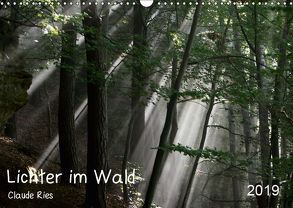 Lichter im Wald (Wandkalender 2019 DIN A3 quer) von Ries Luxemburg,  Claude