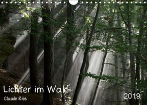 Lichter im Wald (Wandkalender 2019 DIN A4 quer) von Ries Luxemburg,  Claude
