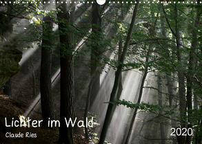 Lichter im Wald (Wandkalender 2020 DIN A3 quer) von Ries Luxemburg,  Claude