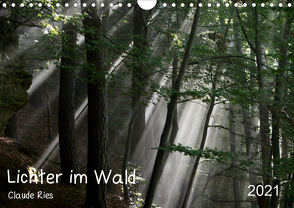 Lichter im Wald (Wandkalender 2021 DIN A4 quer) von Ries Luxemburg,  Claude