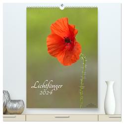 Lichtfänger (hochwertiger Premium Wandkalender 2024 DIN A2 hoch), Kunstdruck in Hochglanz von Adam,  Ulrike