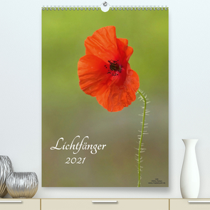 Lichtfänger (Premium, hochwertiger DIN A2 Wandkalender 2021, Kunstdruck in Hochglanz) von Adam,  Ulrike