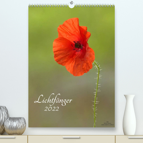 Lichtfänger (Premium, hochwertiger DIN A2 Wandkalender 2022, Kunstdruck in Hochglanz) von Adam,  Ulrike