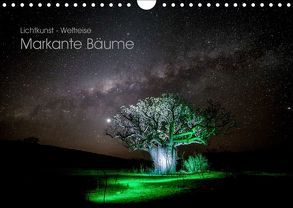 Lichtkunst – Weltreise Markante Bäume (Wandkalender 2019 DIN A4 quer) von Heilmann,  Gunnar