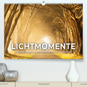 Lichtmomente – Fotografien, die in einem besonderen Licht erstrahlen. (Premium, hochwertiger DIN A2 Wandkalender 2024, Kunstdruck in Hochglanz) von Monkey,  Happy