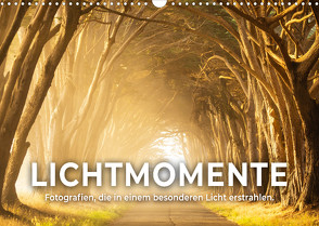 Lichtmomente – Fotografien, die in einem besonderen Licht erstrahlen. (Wandkalender 2023 DIN A3 quer) von SF
