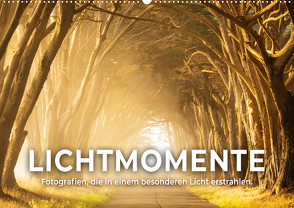 Lichtmomente – Fotografien, die in einem besonderen Licht erstrahlen. (Wandkalender 2024 DIN A2 quer), CALVENDO Monatskalender von Monkey,  Happy