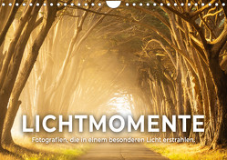 Lichtmomente – Fotografien, die in einem besonderen Licht erstrahlen. (Wandkalender 2024 DIN A4 quer), CALVENDO Monatskalender von Monkey,  Happy