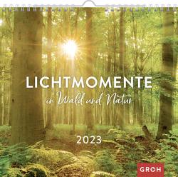 Lichtmomente in Wald und Natur 2023 von Groh Verlag
