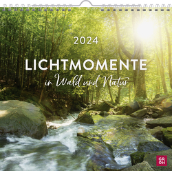 Lichtmomente in Wald und Natur 2024 von Groh Verlag