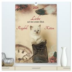 Liebe auf den ersten Blick . Ragdoll Kitten (hochwertiger Premium Wandkalender 2024 DIN A2 hoch), Kunstdruck in Hochglanz von Reiß-Seibert,  Marion