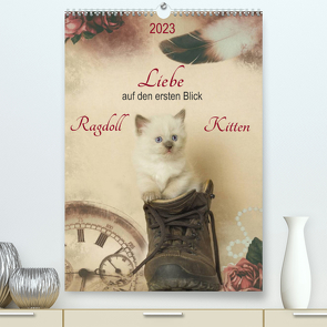 Liebe auf den ersten Blick . Ragdoll Kitten (Premium, hochwertiger DIN A2 Wandkalender 2023, Kunstdruck in Hochglanz) von Reiß-Seibert,  Marion