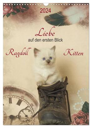 Liebe auf den ersten Blick . Ragdoll Kitten (Wandkalender 2024 DIN A3 hoch), CALVENDO Monatskalender von Reiß-Seibert,  Marion