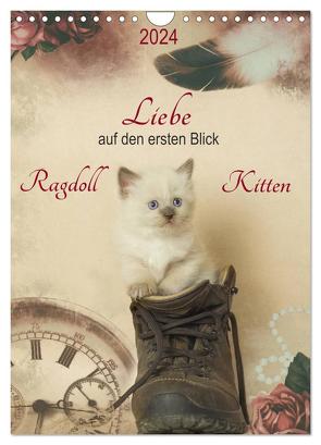 Liebe auf den ersten Blick . Ragdoll Kitten (Wandkalender 2024 DIN A4 hoch), CALVENDO Monatskalender von Reiß-Seibert,  Marion