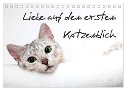 Liebe auf den ersten Katzenblick (Tischkalender 2024 DIN A5 quer), CALVENDO Monatskalender von Enderlein - Bethari Bengals,  Sylke