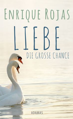 Liebe von Brosa,  Ignaz, Rojas,  Enrique, Stein,  Gabriele