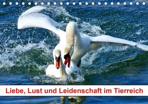 Liebe, Lust und Leidenschaft im Tierreich (Tischkalender 2020 DIN A5 quer) von kattobello