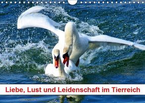 Liebe, Lust und Leidenschaft im Tierreich (Wandkalender 2019 DIN A4 quer) von kattobello