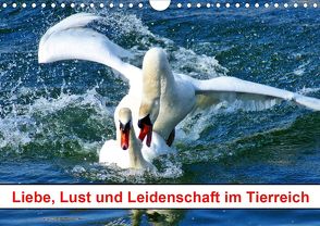 Liebe, Lust und Leidenschaft im Tierreich (Wandkalender 2020 DIN A4 quer) von kattobello