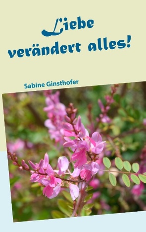 Liebe verändert alles von Ginsthofer,  Sabine