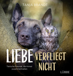 Liebe verfliegt nicht von Brandt,  Tanja
