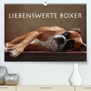 Liebenswerte Boxer (Premium, hochwertiger DIN A2 Wandkalender 2023, Kunstdruck in Hochglanz) von Behr,  Jana