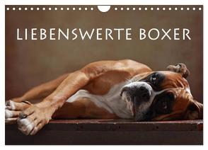 Liebenswerte Boxer (Wandkalender 2024 DIN A4 quer), CALVENDO Monatskalender von Behr,  Jana