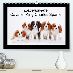 Liebenswerte Cavalier King Charles Spaniel (Premium, hochwertiger DIN A2 Wandkalender 2023, Kunstdruck in Hochglanz) von Wegner,  Petra