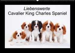 Liebenswerte Cavalier King Charles Spaniel (Wandkalender 2023 DIN A2 quer) von Wegner,  Petra