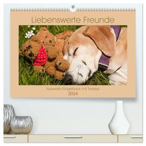 Liebenswerte Freunde – Azawakh-Ridgeback mit Teddys (hochwertiger Premium Wandkalender 2024 DIN A2 quer), Kunstdruck in Hochglanz von Bölts,  Meike
