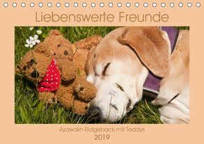 Liebenswerte Freunde – Azawakh-Ridgeback mit Teddys (Tischkalender 2019 DIN A5 quer) von Bölts,  Meike