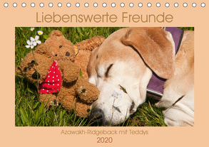 Liebenswerte Freunde – Azawakh-Ridgeback mit Teddys (Tischkalender 2020 DIN A5 quer) von Bölts,  Meike