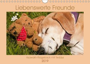 Liebenswerte Freunde – Azawakh-Ridgeback mit Teddys (Wandkalender 2019 DIN A4 quer) von Bölts,  Meike