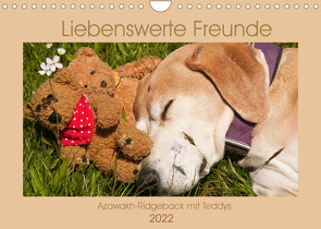 Liebenswerte Freunde – Azawakh-Ridgeback mit Teddys (Wandkalender 2022 DIN A4 quer) von Bölts,  Meike