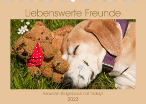 Liebenswerte Freunde – Azawakh-Ridgeback mit Teddys (Wandkalender 2023 DIN A2 quer) von Bölts,  Meike