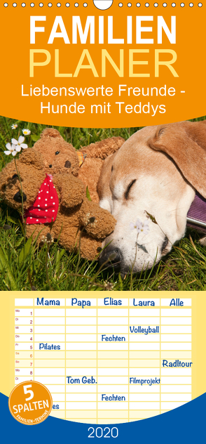 Liebenswerte Freunde – Hunde mit Teddys – Familienplaner hoch (Wandkalender 2020 , 21 cm x 45 cm, hoch) von Bölts,  Meike