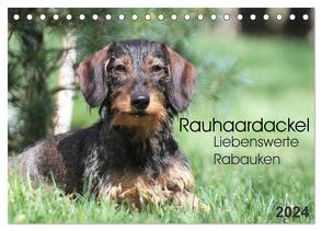 Liebenswerte Rabauken – Rauhaardackel (Tischkalender 2024 DIN A5 quer), CALVENDO Monatskalender von Mielewczyk,  Barbara