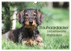Liebenswerte Rabauken – Rauhaardackel (Wandkalender 2024 DIN A3 quer), CALVENDO Monatskalender von Mielewczyk,  Barbara