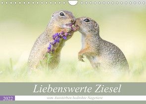 Liebenswerte Ziesel – vom Aussterben bedrohte Nagetiere (Wandkalender 2022 DIN A4 quer) von Petzl,  Perdita