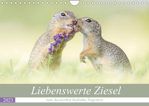Liebenswerte Ziesel – vom Aussterben bedrohte Nagetiere (Wandkalender 2023 DIN A4 quer) von Petzl,  Perdita