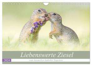 Liebenswerte Ziesel – vom Aussterben bedrohte Nagetiere (Wandkalender 2024 DIN A4 quer), CALVENDO Monatskalender von Petzl,  Perdita