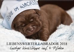 Liebenswerter Labrador 2018 (Wandkalender 2018 DIN A2 quer) von Annett Mirsberger,  tierpfoto.de