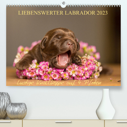 Liebenswerter Labrador 2023 (Premium, hochwertiger DIN A2 Wandkalender 2023, Kunstdruck in Hochglanz) von Mirsberger,  Annett
