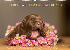 Liebenswerter Labrador 2023 (Wandkalender 2023 DIN A2 quer) von Mirsberger,  Annett