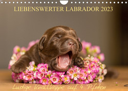 Liebenswerter Labrador 2023 (Wandkalender 2023 DIN A4 quer) von Mirsberger,  Annett